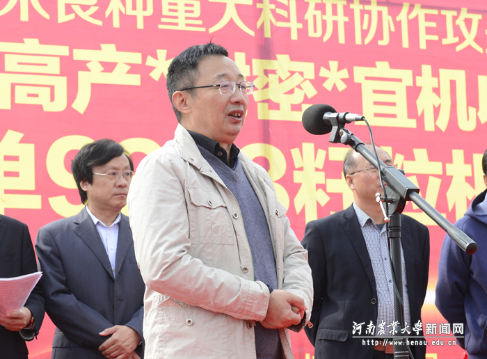 品种选育人陈彦惠教授“豫单9953”基本情况 品种选育人陈彦惠教授“豫单9953”基本情况